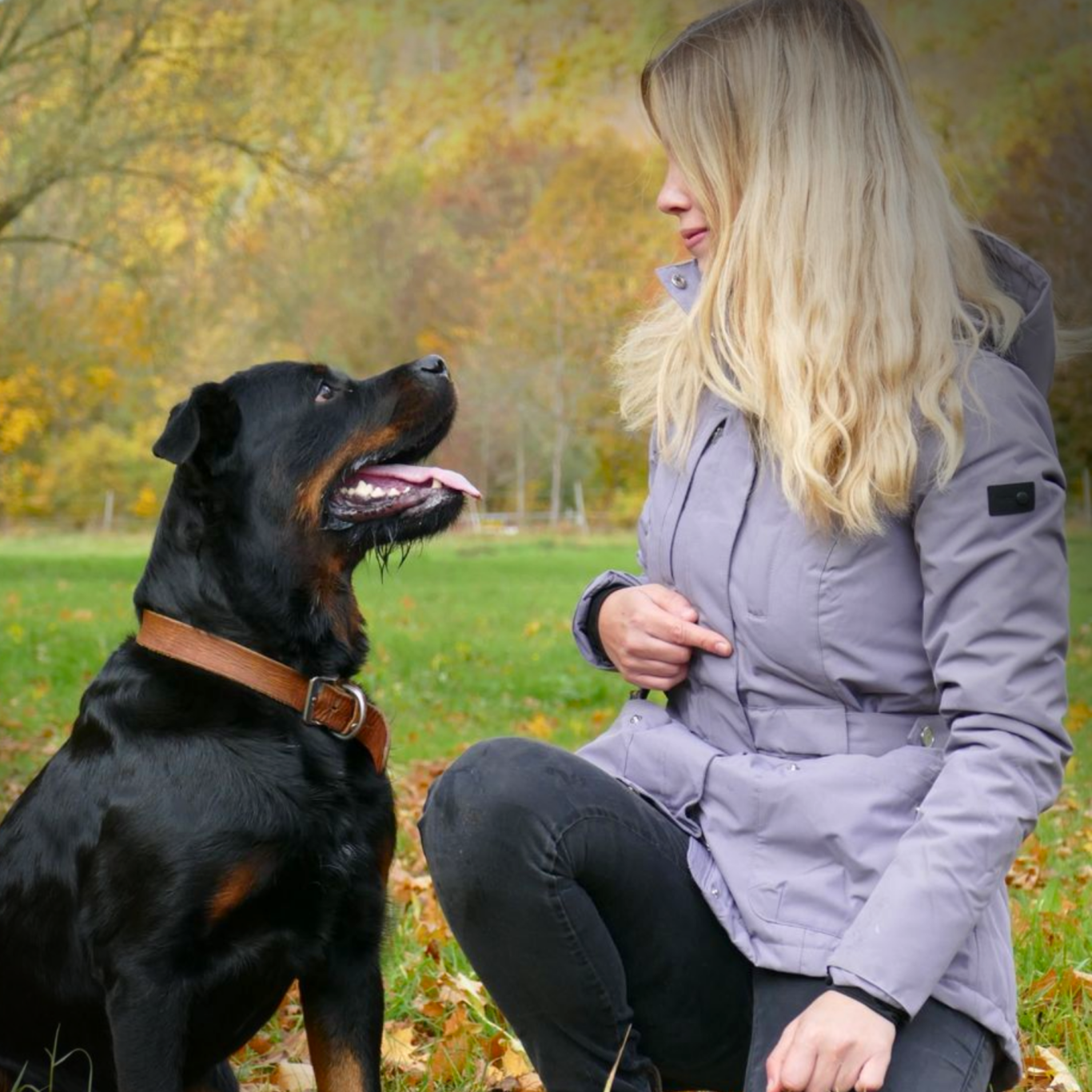 Frau kniet neben einem Rottweiler in einer herbstlichen Landschaft.