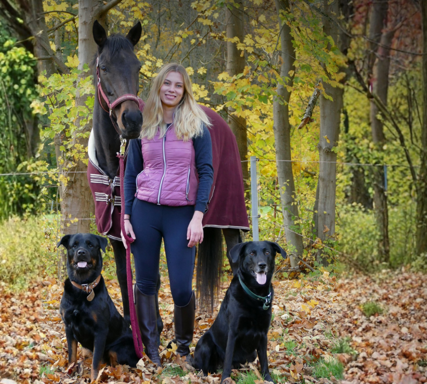 Frau mit langen Haaren steht zwischen zwei Hunden vor einem Pferd, umgeben von buntem Laub.