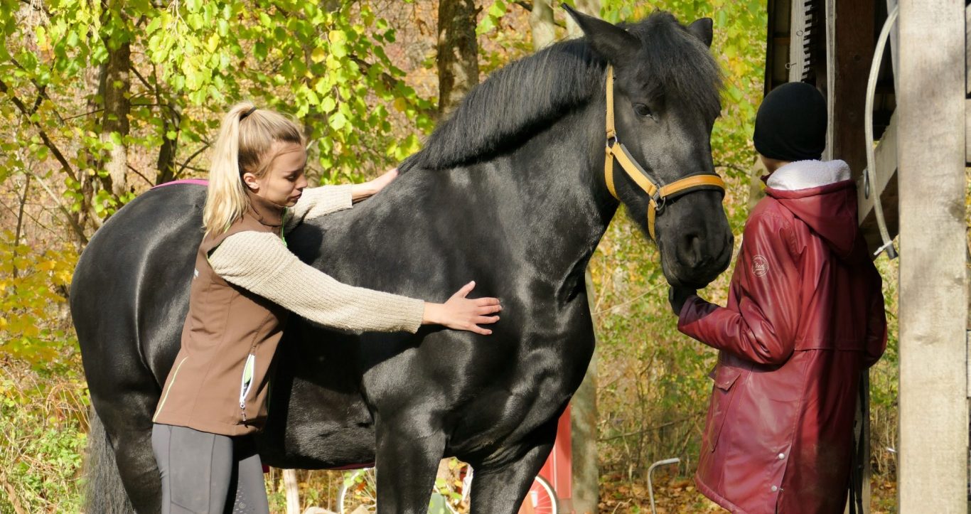 Ablauf Tiertherapie Friebe Eine Frau streichelt ein schwarzes Pferd, während eine andere Person daneben steht.