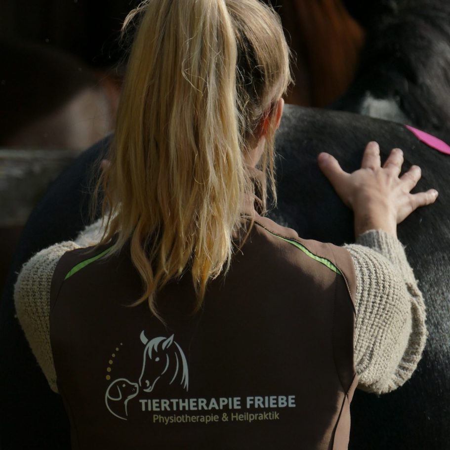 Eine Frau streichelt die Seite eines Pferdes, trägt ein braunes Shirt mit Logo.